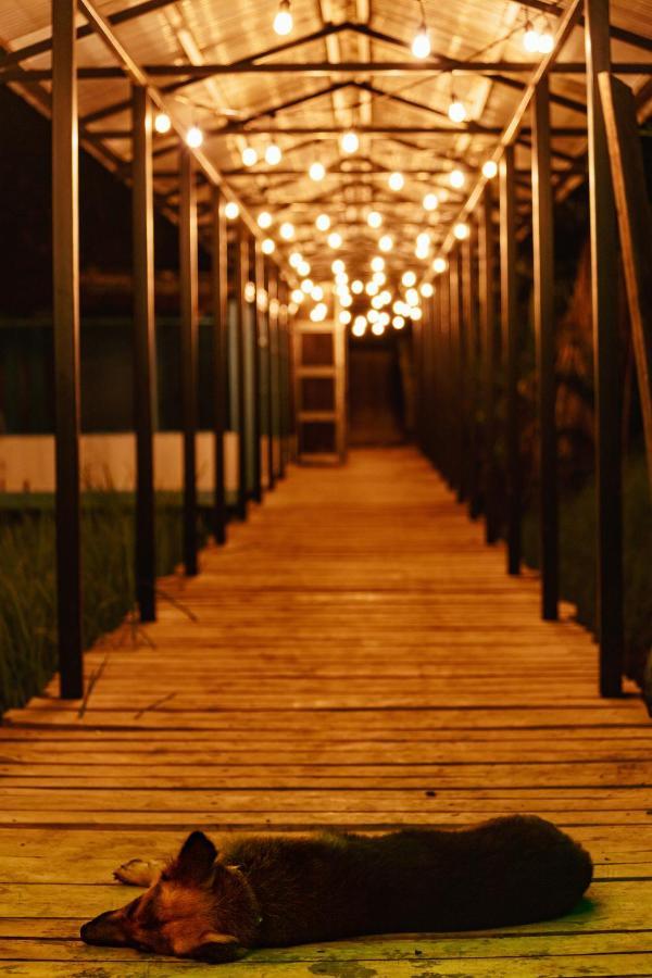Oso De Osa Hotel Sierpe Buitenkant foto