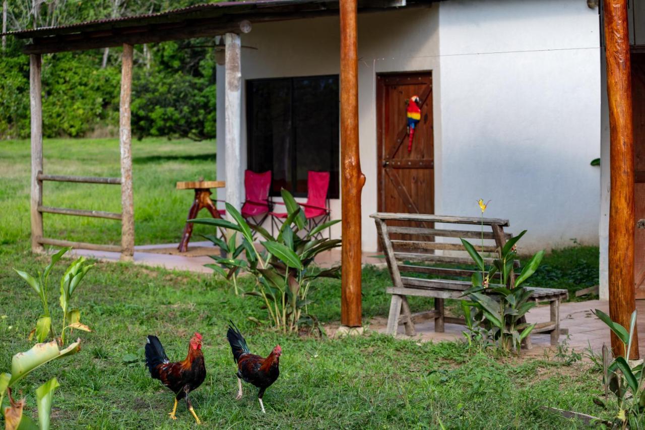 Oso De Osa Hotel Sierpe Buitenkant foto